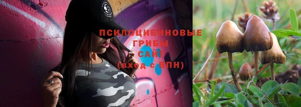 эйфоретик Алексеевка