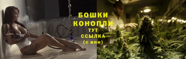 дурь Арсеньев