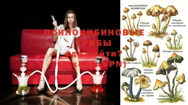 дурь Арсеньев