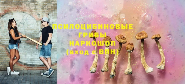 дурь Арсеньев