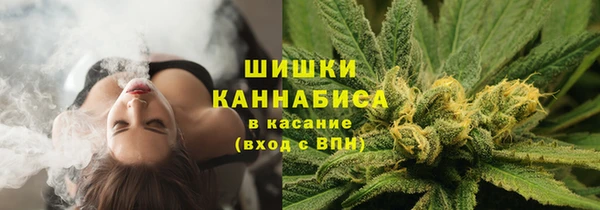 дурь Арсеньев