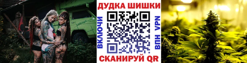 Бошки Шишки ГИДРОПОН  Ельня 